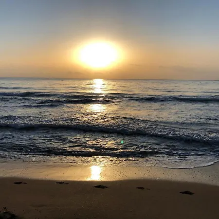 Martas * La Mata (Torrevieja)
